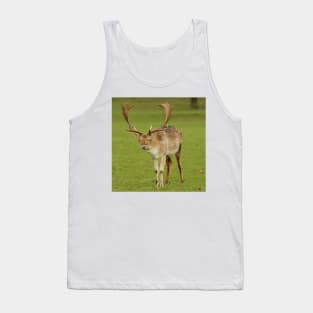 fallow deer stag Tank Top